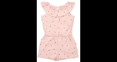 Kort tuinpak - Roze - Fairy Garden-80