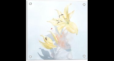 Tuinposter – Kleine Licht Gele bloemen - 50x50cm Foto op Tuinposter  (wanddecoratie voor buiten en binnen)