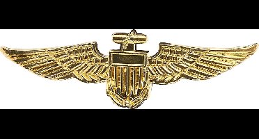 Gouden broche vliegenier