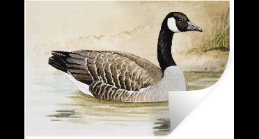 Muurstickers - Sticker Folie - Een illustratie van een Canadese gans op het water - 30x20 cm - Plakfolie - Muurstickers Kinderkamer - Zelfklevend Behang - Zelfklevend behangpapier - Stickerfolie