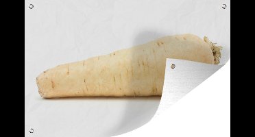 Muurdecoratie Grote pastinaak dat ligt - 180x120 cm - Tuinposter - Tuindoek - Buitenposter