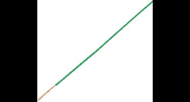 TRU COMPONENTS 1565623 Voertuigsnoer FLRY-B 1 x 1 mm² Groen 50 m