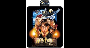 Harry Potter picknickkleed poster - waterdicht en kleurrijk design.