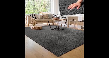 Paco Home Modern and Soft Living Room Rug Short Pile Washable Fluffy Uni Effect Fur Timeless Elegant Non-slip Easy Care, Size:200x280cm, Color:Anthracite