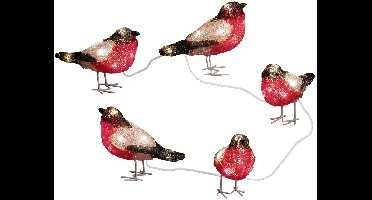 Konstsmide goudvinken lichtsnoer met LED - set van 5