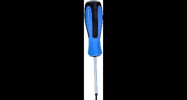 BRILLIANT TOOLS Schroevendraaier TORX T15 x 80 mm - BT031012