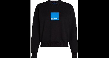 Karl Lagerfeld Reg Box Logo Sweatshirt Zwart S Vrouw