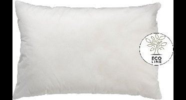 BINNENKUSSEN - kussenvulling 40x60 cm - gerecycled polyester - Eco Line - 450 gram