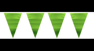 Folat - Groene Metallic Mat Vlaggenlijn - 6 meter