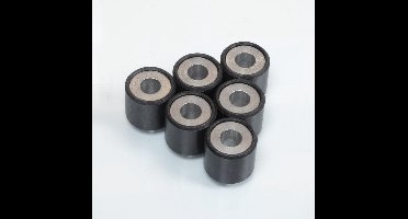 Originele variatorrol voor Piaggio 125 Vespa LXV scooter 2006 tot 2013 19x17 9grs / cm1038035 nieuw