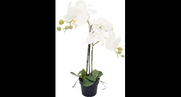 Orchidee Kunstplant 3-tak 68 cm - Wit