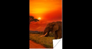 Poster Olifant - Zonsondergang - Oranje - Savanne - Dieren - 20x30 cm