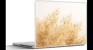 Laptop sticker - 10.1 inch - Pampasgras - Zon - Gras - 25x18cm - Laptopstickers - Laptop skin - Cover