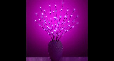 Kerst wilgentakken set - 20 LEDs - Paars