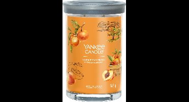 Yankee Candle - Farm Fresh Peach Large Tumbler Geurkaars - 100 branduren - twee lonten