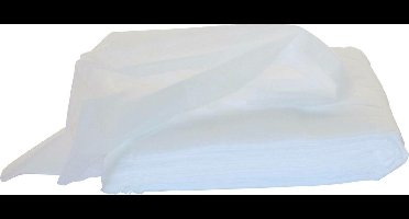 Stofwisdoek viscose 20-grams 25x60 cm wit 1000 stuks