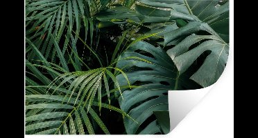 Muurstickers - Sticker Folie - Planten - Jungle - Bladeren - Tropisch - 30x20 cm - Plakfolie - Muurstickers Kinderkamer - Zelfklevend Behang - Zelfklevend behangpapier - Stickerfolie