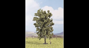 NOCH 25880 Boom Linde 190 mm 1 stuk(s)