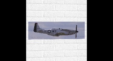 WallClassics - Muursticker - Zijaanzicht van Zwart/Wit Minnie Vliegtuig - 60x20 cm Foto op Muursticker