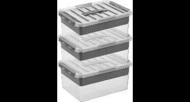 3x Sunware Q-Line opberg boxen/opbergdozen met vakverdeling/vakken tray 15 liter 40 x 30 x 18 cm kunststof - Gereedschapskist - Opslagbox - Opbergbak kunststof transparant/zilver