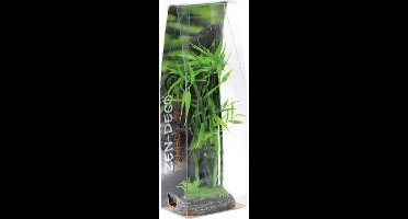 Zen deco Bamboo Plant