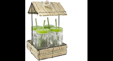 Imperial Kitchen Hutje met 4 cactus drinkbeker