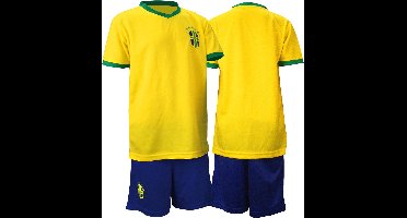 Voetbalset Supporter - Junior - Geel/Blauw/Groen - 104