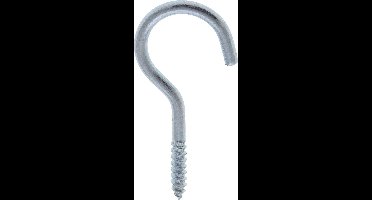 schroefhaak waslijnhaak 60mm RVS 2 stuks