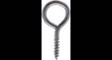 schroefoog verzinkt 10x5mm 15 stuks. homefix.