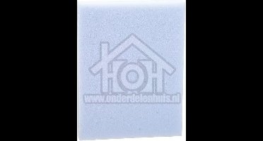 Bosch Filter Schuimfilter BGL8SIL59, BGL8830, VSQ8SIL 00577367