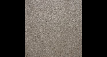 Vloerkleed Xilento Soft Melange | 200 x 300 cm