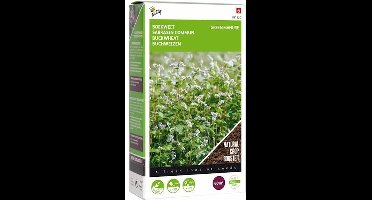 Buzzy Groenbemester Boekweit 150g