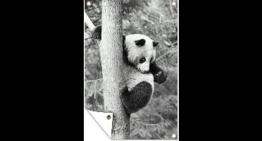 Tuindecoratie Panda die een boom beklimt in het zwart-wit - 40x60 cm - Tuinposter - Tuindoek - Buitenposter