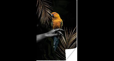 Veelkleurige vogel op een hand en zwarte achtergrond 20x30 cm - klein - Foto print op Poster (wanddecoratie woonkamer / slaapkamer)