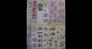 10x 3DA4 Knipvellen - Janneke Brinkman -Voor elk wat wils - Maak prachtige kaarten en scrapbook - Inhoud verschillend per pakket