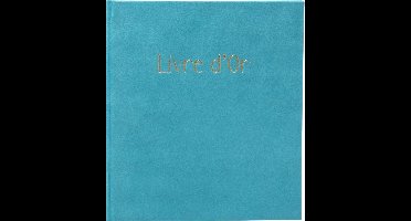 Exacompta Gastenboek 140 pagina's met goudsnede Skandi - Turkoois - 389E