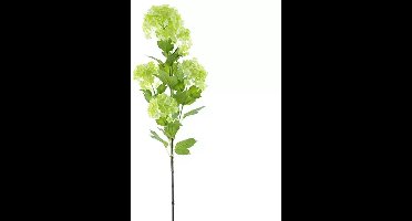 Viburnum flower spray green 88 cm