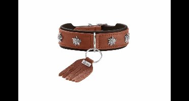 Hunter Hondenhalsband München Cognac Maat 42