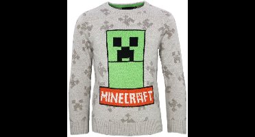Minecraft Grey gebreide kindertrui 6 jaar