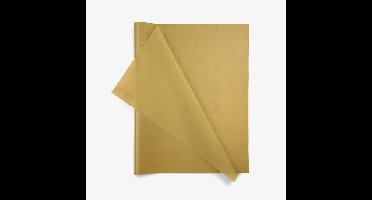 Dubbelzijdig Zilver Vloeipapier | 17 Grams | Watervast & Kleurecht | 50x75 cm 200 vel