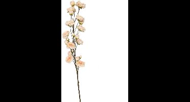 Kunsttak Rose Cream - 180 cm