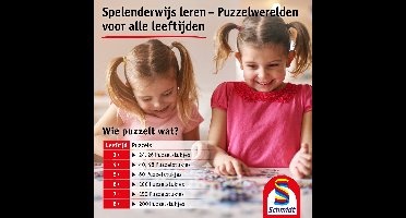 Schmidt Spiele - Thomas Kinkade - Disney Frozen liefde en magie, 1000 stukjes