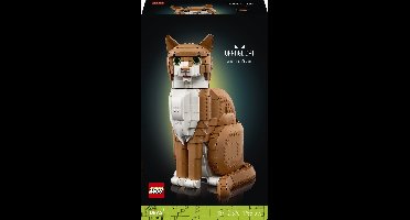 LEGO Ideas Oranje Kat Bouwpakket - 21376