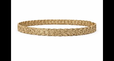 HS tailleriem dames – stretch gouden muntschakels – goud/goud – 72-100 cm