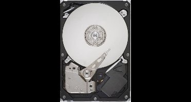 Seagate SkyHawk interne harde schijf 1 TB 256 MB 3.5" SATA III