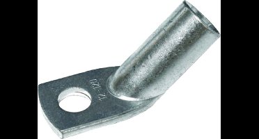 Intercable kabelschoen 25 mm² M12 vertind hoek 45°,R-Serie per 25 stuks