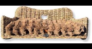 Kubu hondensofa My Favourite