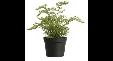 Buitengewoon de boet - Varen groen 30 cm kunstplant