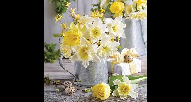 Servetten 33x33 cm - Daffodils in pot