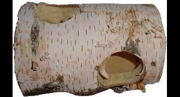 Berkenrol Middelgroot 2-Gaats